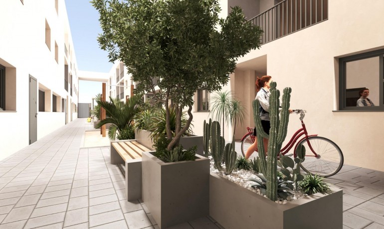 Nouvelle construction - Appartement / Flat -
San Miguel de Salinas* - Pueblo