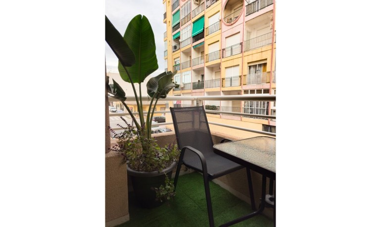 Herverkoop - Appartement / Flat -
Torrevieja*