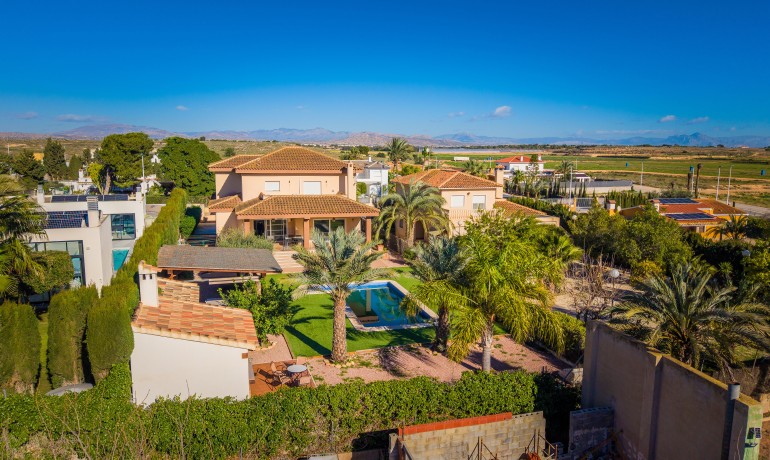 Sale - Villa -
Elche* - Elche