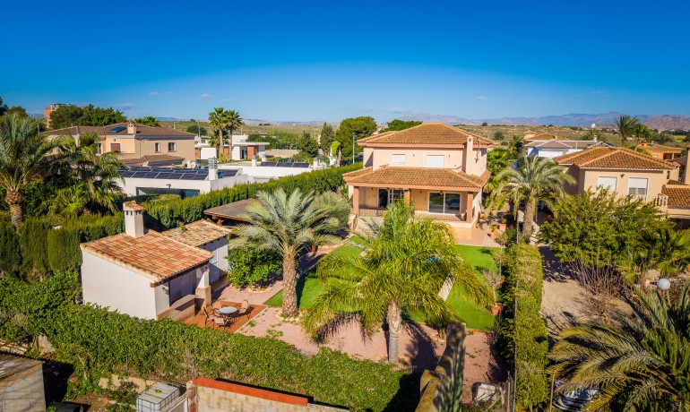 Sale - Villa -
Elche* - Elche