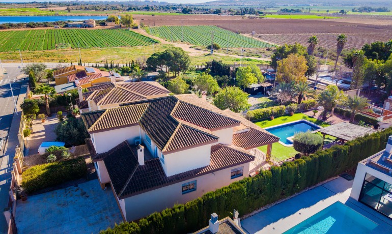 Sale - Villa -
Elche* - Elche