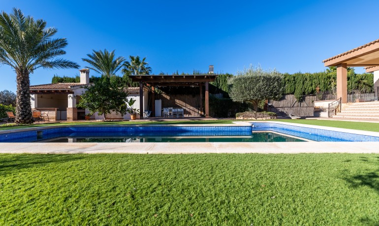 Sale - Villa -
Elche* - Elche