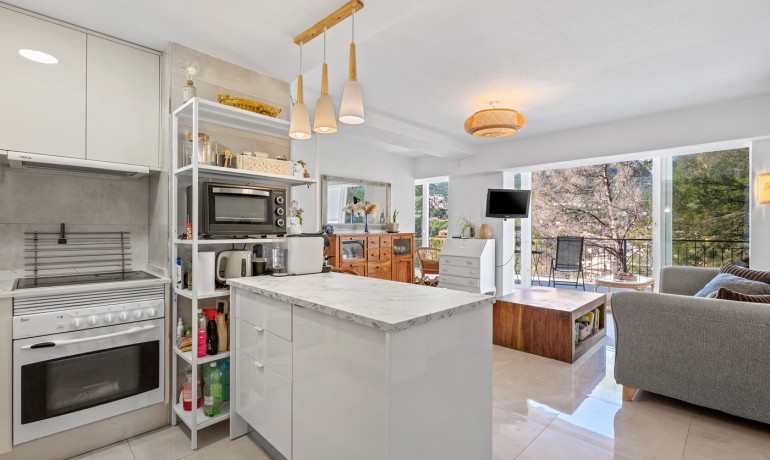 Revente - Appartement / Flat -
la Nucia - La Nucia