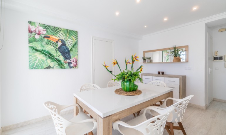 Herverkoop - Appartement / Flat -
Torrevieja Centro - Torrevieja