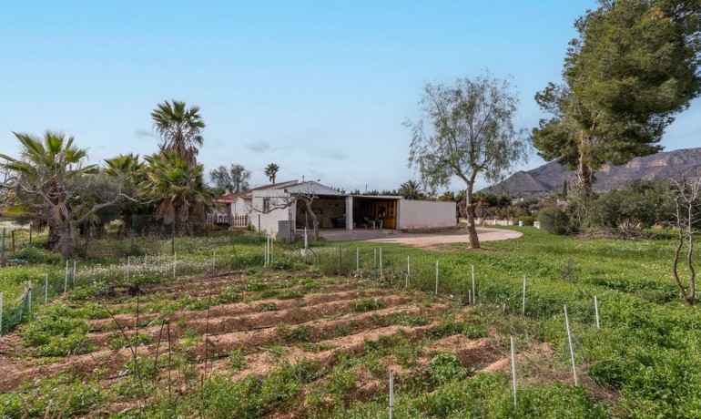 Herverkoop - 3 Detached Villas -
Hondón de las Nieves