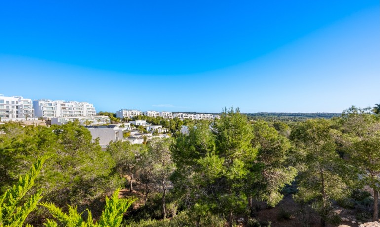 Herverkoop - Appartement / Flat -
Las Colinas Golf - Las Colinas Golf Resort