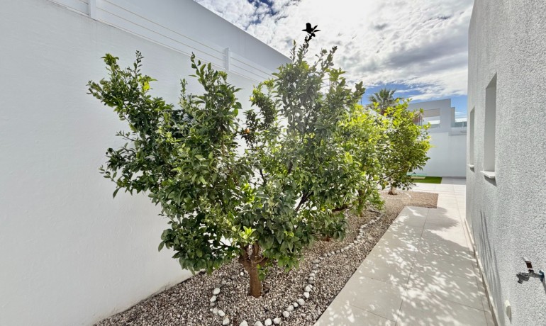 Herverkoop - Villa -
Benijofar - Benijofar - Village