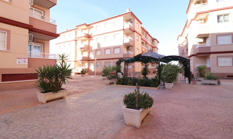 Herverkoop - Appartement / Flat -
Algorfa - Algorfa - Village