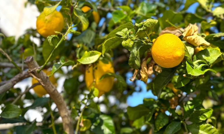 Sale - Villa -
Orihuela Costa* - Villamartin*