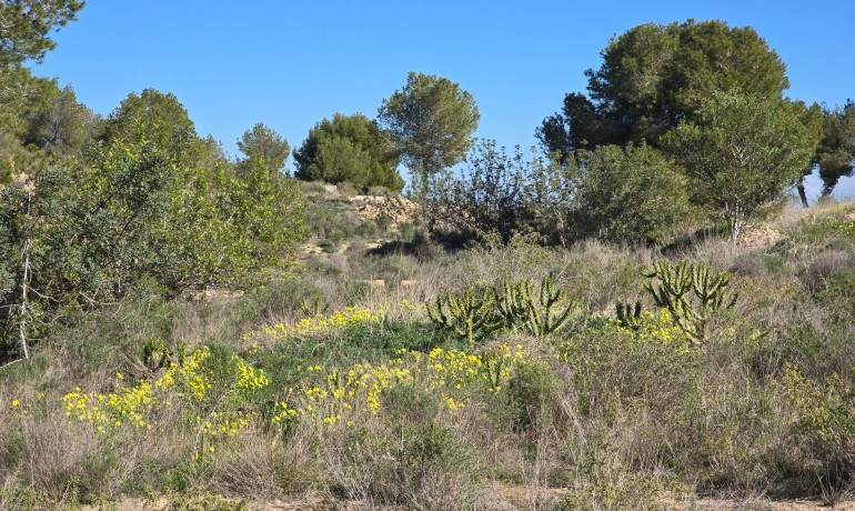 Herverkoop - Appartement / Flat -
Orihuela Costa - Villamartin