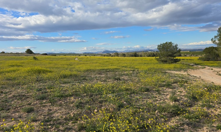 Herverkoop - Appartement / Flat -
Orihuela Costa - Villamartin