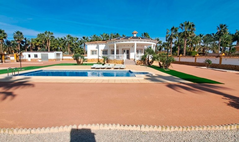 Herverkoop - Finca / Landgoed -
Catral - Catral - Country