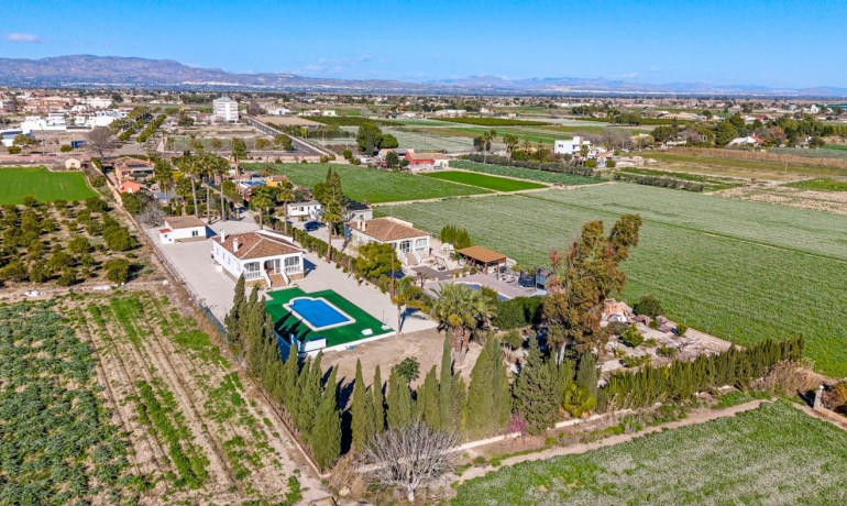 Herverkoop - Finca / Landgoed -
Dolores - Dolores - Town