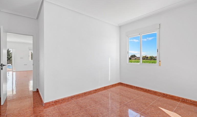 Herverkoop - Finca / Landgoed -
Dolores - Dolores - Town