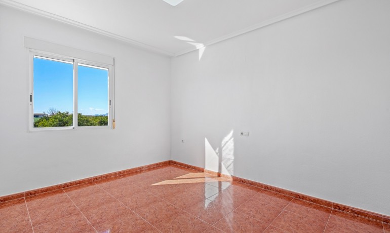 Herverkoop - Finca / Landgoed -
Dolores - Dolores - Town