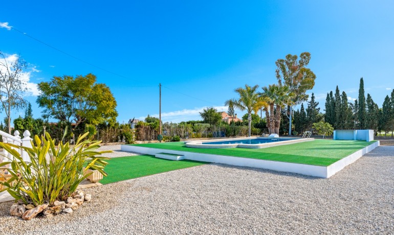 Herverkoop - Finca / Landgoed -
Dolores - Dolores - Town