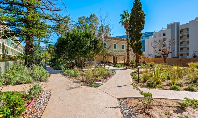 Herverkoop - Appartement / Flat -
Denia - Puerto