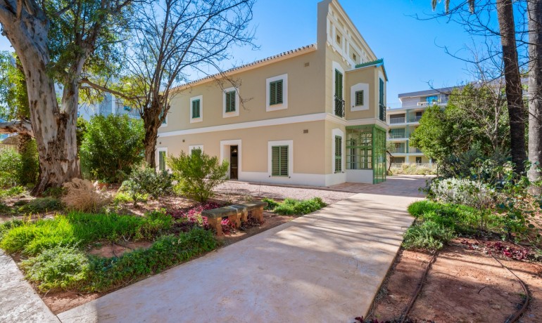 Herverkoop - Appartement / Flat -
Denia - Puerto