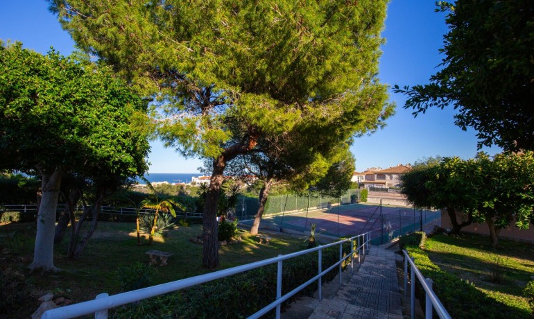 Herverkoop - Appartement / Flat -
Torrevieja* - Torreblanca