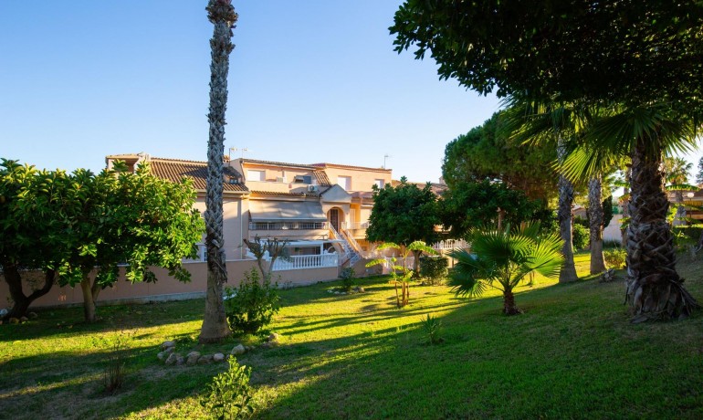 Herverkoop - Appartement / Flat -
Torrevieja* - Torreblanca