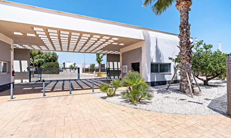 Nieuwbouw - Appartement / Flat -
Vera* - El Playazo