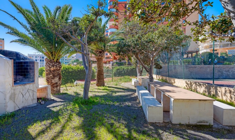 Herverkoop - Appartement / Flat -
Arenales del Sol - Segunda linea playa