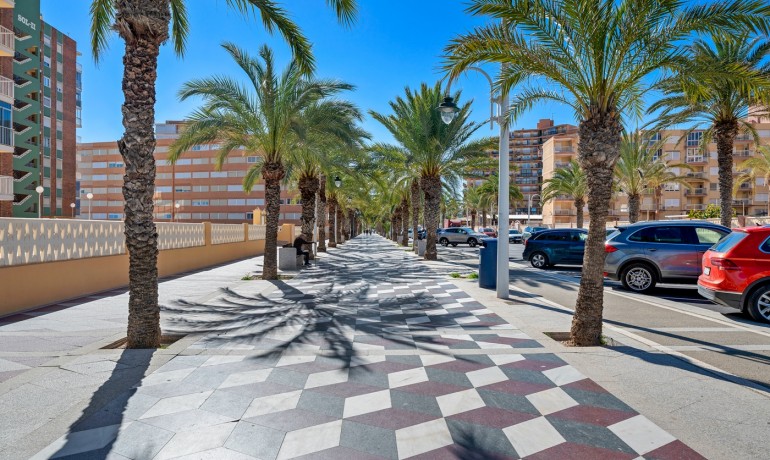 Herverkoop - Appartement / Flat -
Arenales del Sol - Segunda linea playa