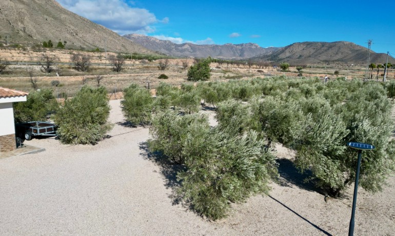 Herverkoop - Villa -
Macisvenda