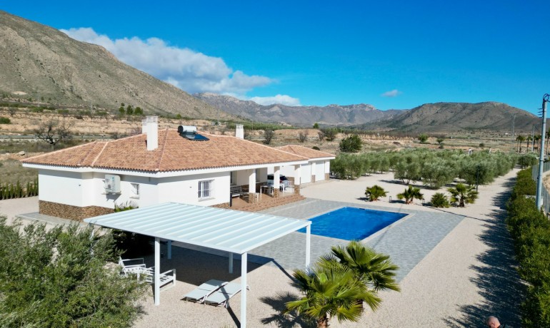 Herverkoop - Villa -
Macisvenda