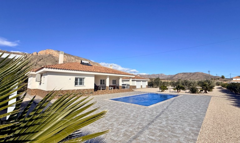 Herverkoop - Villa -
Macisvenda