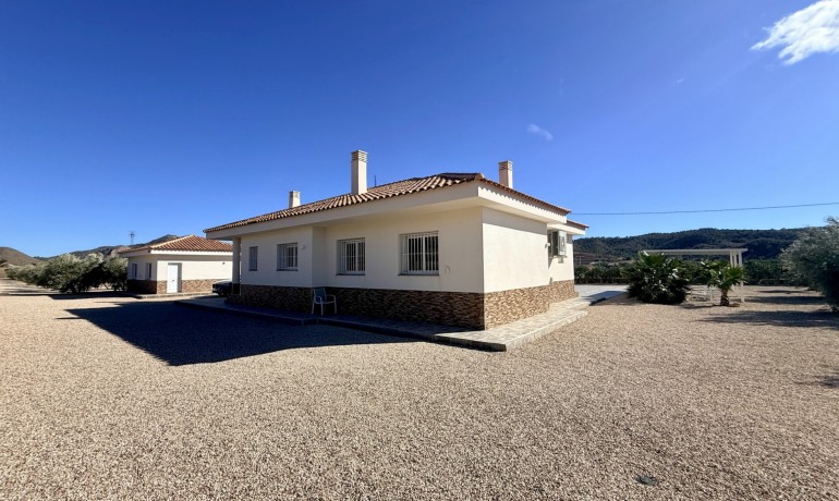 Herverkoop - Villa -
Macisvenda