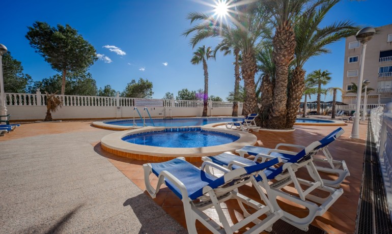 Venta - Apartamento / piso -
Guardamar del Segura - El Eden