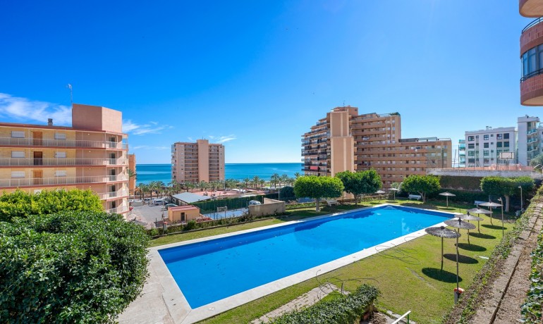 Herverkoop - Appartement / Flat -
Arenales del Sol - Segunda linea playa