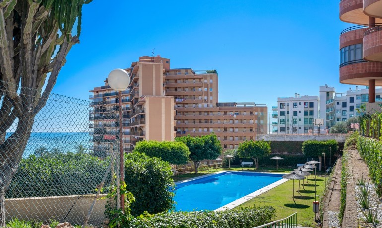 Herverkoop - Appartement / Flat -
Arenales del Sol - Segunda linea playa