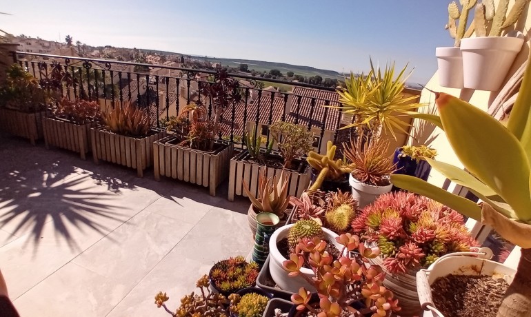 Herverkoop - Huis -
Algorfa - La Finca Golf Resort