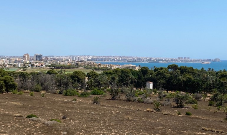 Revente - Appartement / Flat -
Torrevieja* - Punta Prima