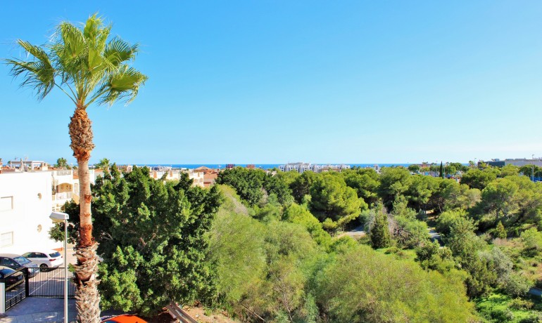 Herverkoop - Villa -
Playa Flamenca