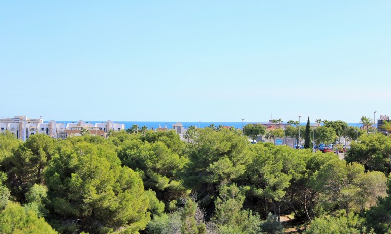 Herverkoop - Villa -
Playa Flamenca