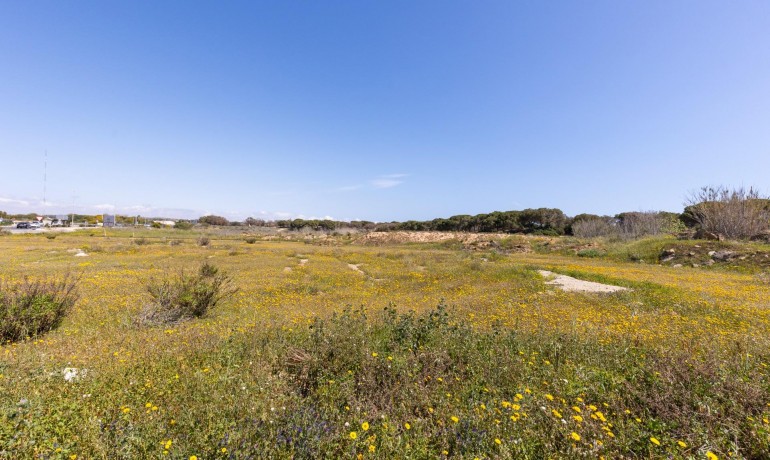 Herverkoop - Appartement / Flat -
Guardamar del Segura* - Urbanizaciones