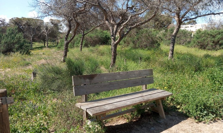 Herverkoop - Appartement / Flat -
Guardamar del Segura* - Urbanizaciones