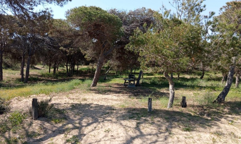 Herverkoop - Appartement / Flat -
Guardamar del Segura* - Urbanizaciones