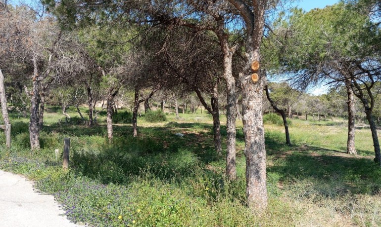 Herverkoop - Appartement / Flat -
Guardamar del Segura* - Urbanizaciones