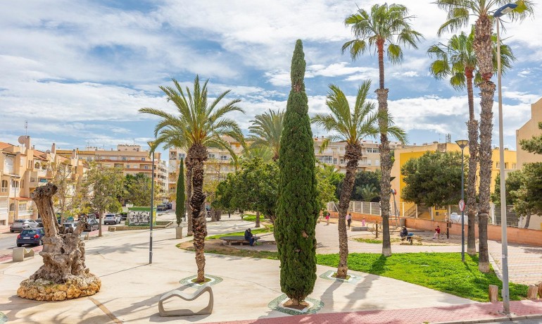 Herverkoop - Appartement / Flat -
Torrevieja* - Estacion de autobuses