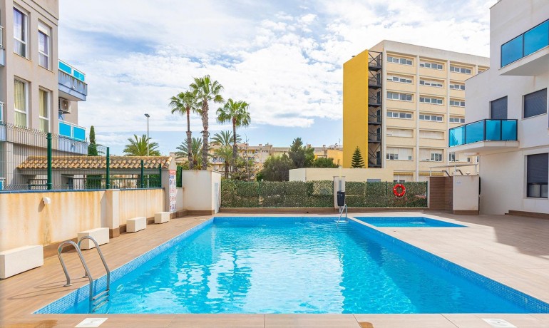 Herverkoop - Appartement / Flat -
Torrevieja* - Estacion de autobuses