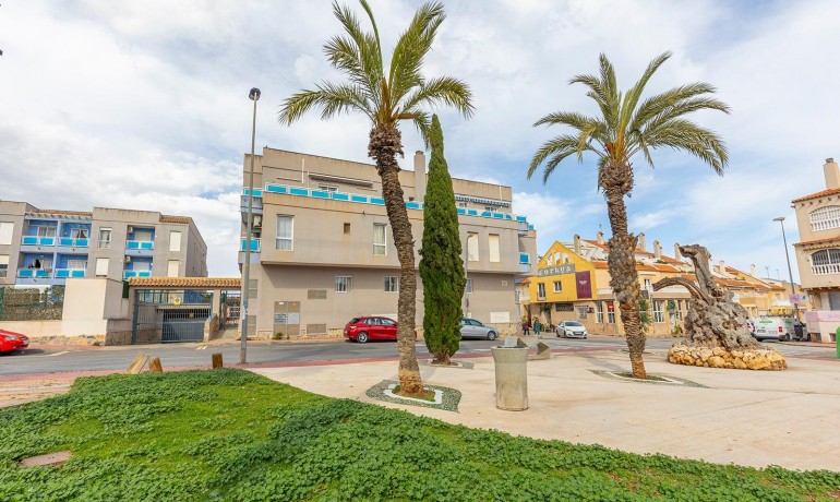 Herverkoop - Appartement / Flat -
Torrevieja* - Estacion de autobuses