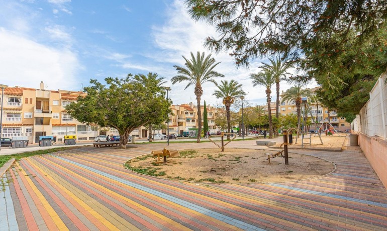 Herverkoop - Appartement / Flat -
Torrevieja* - Estacion de autobuses