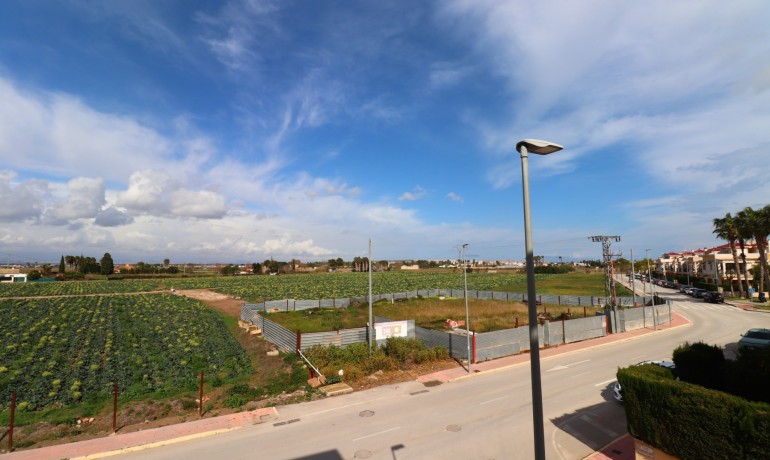 Venta - Apartamento / piso -
Daya Vieja - Daya Vieja - Town