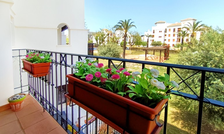 Sale - Apartment / Flat -
El Valle Golf Resort