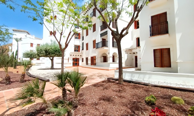 Sale - Apartment / Flat -
El Valle Golf Resort