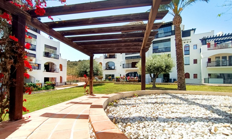 Sale - Apartment / Flat -
El Valle Golf Resort